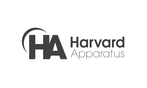 harvard